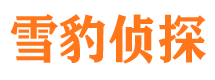 宣武外遇调查取证